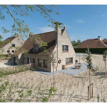 In With Swimming Pool *